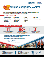 Thumbnail of Binding Authority Market pdf